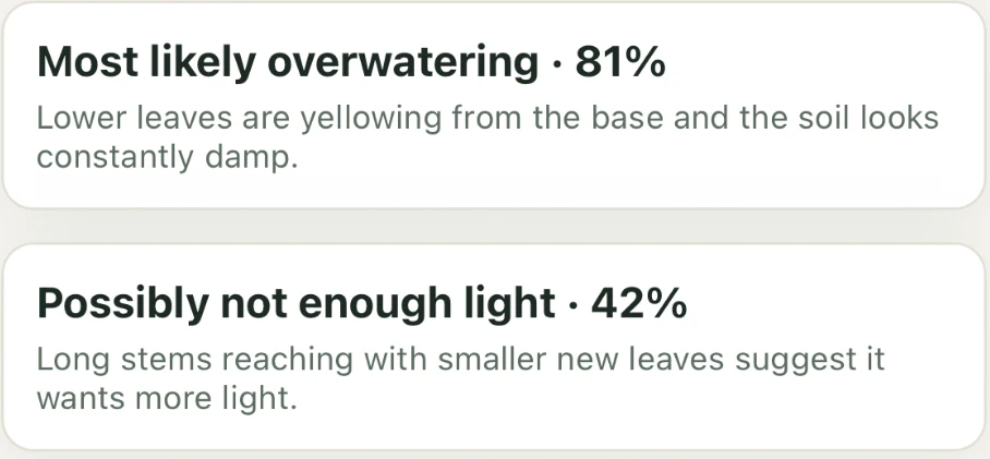 Sample diagnosis showing overwatering and low light as possibilities, each with supporting observations