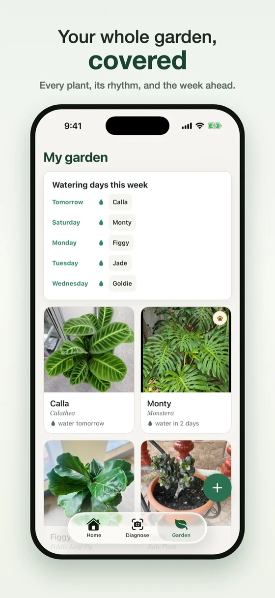 The My garden screen showing saved plants and their watering reminders